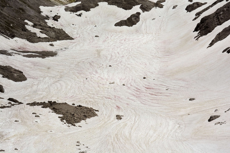 Durch Schmelzwasser und Regen entstehen Muster auf der Schneeoberfläche, die hier zudem noch farblich von roten Algen betont werden.