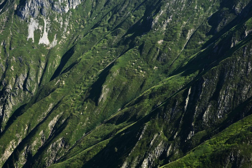 Heimatliebe Lechtal - steile Grashänge